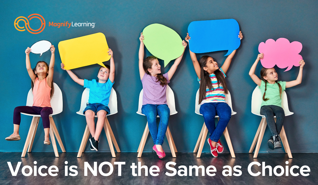 Voice is NOT the Same as Choice by Magnify Learning